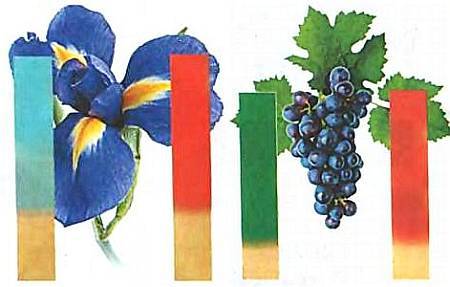 Юный техник, 2013 № 06 - _47.jpg