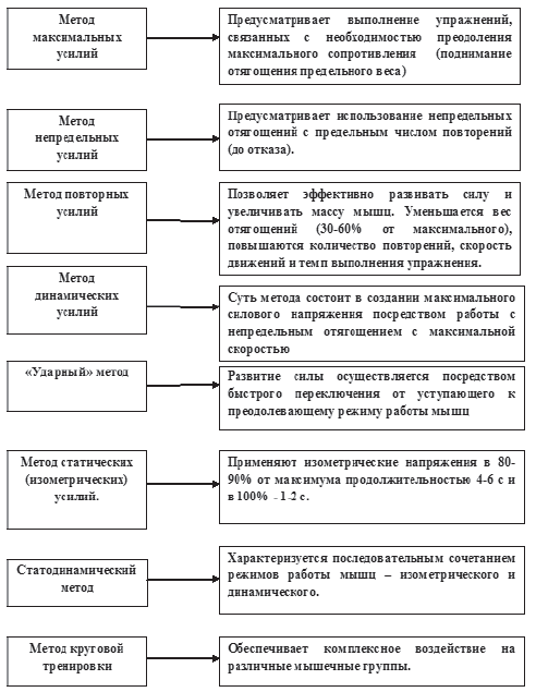 Управление тренировочным процессом юношей, занимающихся пауэрлифтингом, на основе учета биологического возраста. Учебно-методическое пособие - i_004.png