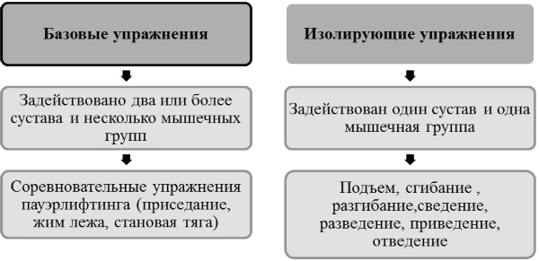 Управление тренировочным процессом юношей, занимающихся пауэрлифтингом, на основе учета биологического возраста. Учебно-методическое пособие - i_005.png