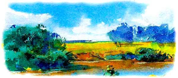 Большая книга о природе - i_094.jpg