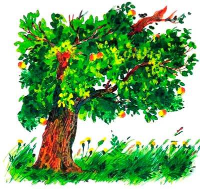 Большая книга о природе - i_095.jpg