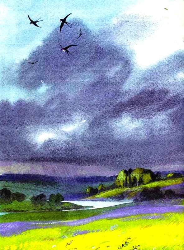 Большая книга о природе - i_096.jpg