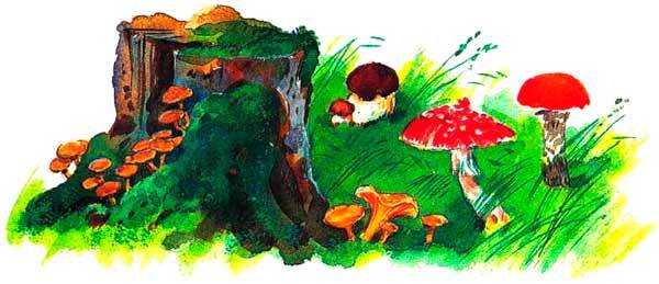 Большая книга о природе - i_100.jpg