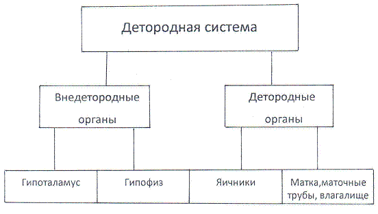 Как достичь надежности в близких отношениях и уверенности в себе - pic_2.png