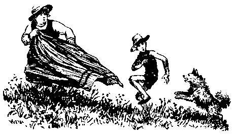 Пять веселых повестей - pic_9.png