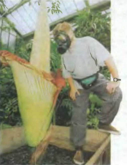 Знание-сила, 1998 № 03 (849) - _90.jpg