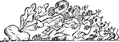 Кухня холостяка - _27.jpg