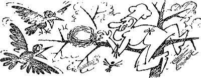 Кухня холостяка - _9.jpg