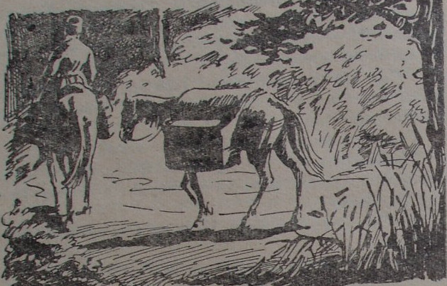 Нуреддин - image02.jpg