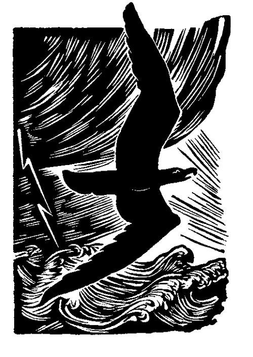 Рассказы и сказки - i_002.png