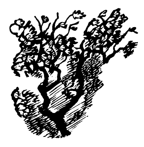 Рассказы и сказки - i_012.png