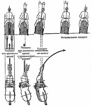 Учебник верховой езды - i_014.png