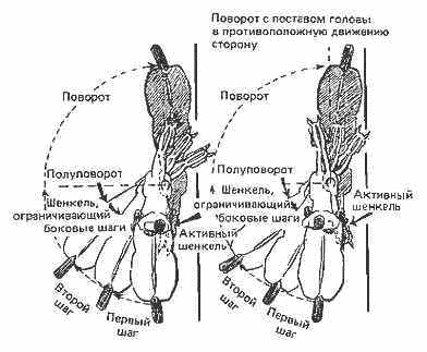 Учебник верховой езды - i_028.png