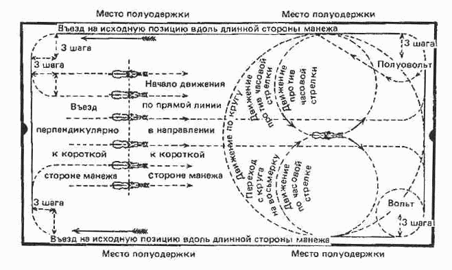 Учебник верховой езды - i_038.png