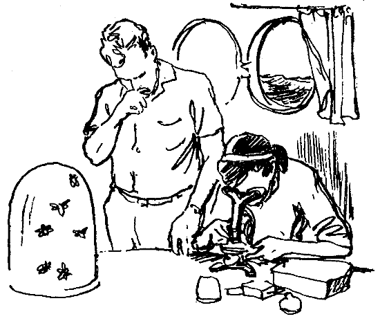 Гость из моря (журнальный вариант) - pic_7.png