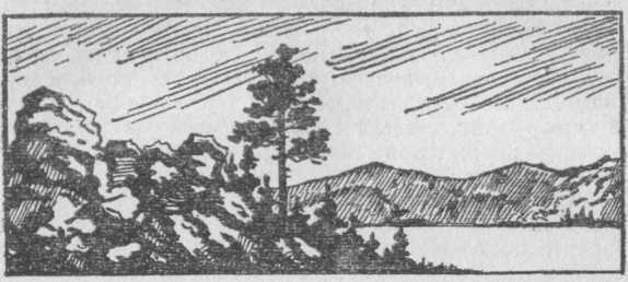 Год жизни - _7.jpg