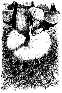 Старосветские помещики (сборник) - i_019.png