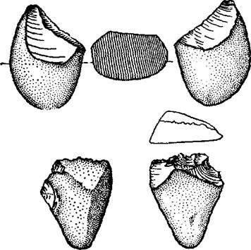 Индия в древности - _7.jpg