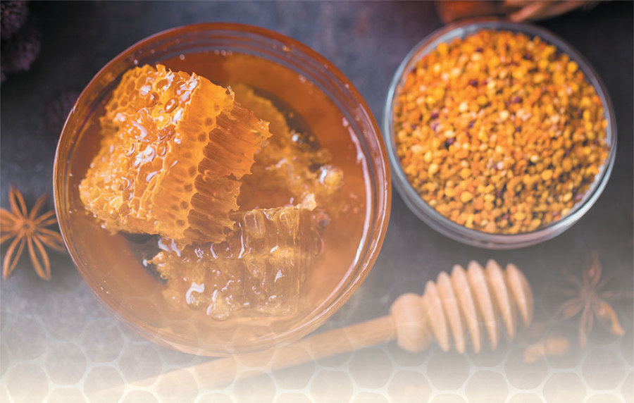 Азбука пчеловодства. От устройства пчелиного дома до готового продукта - _1.jpg