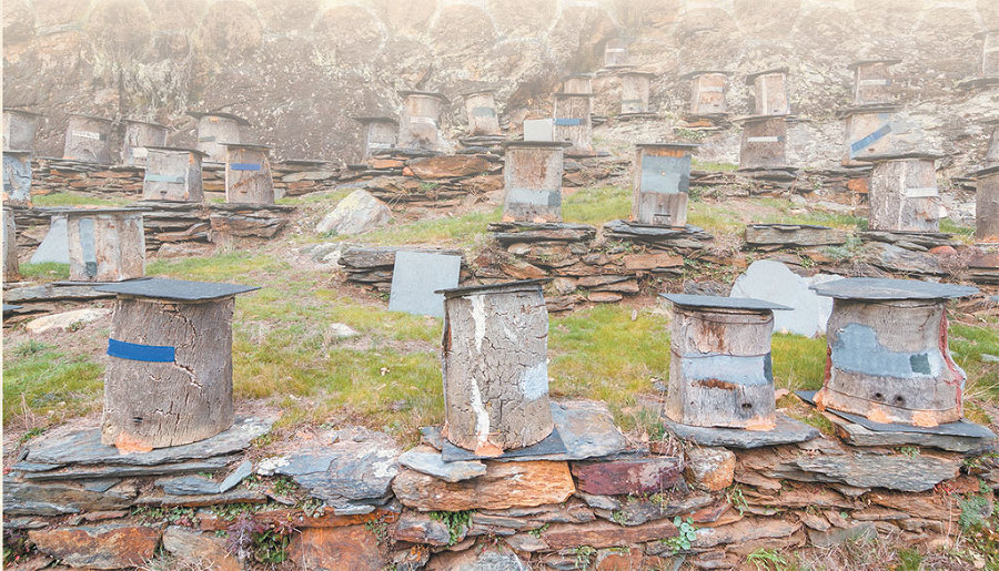 Азбука пчеловодства. От устройства пчелиного дома до готового продукта - _3.jpg