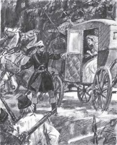 Дубровский. Капитанская дочка (сборник) - i_015.jpg