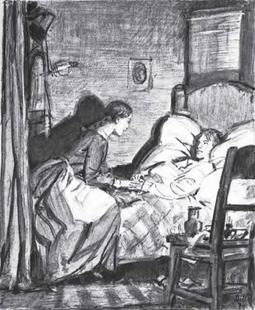 Дубровский. Капитанская дочка (сборник) - i_022.jpg