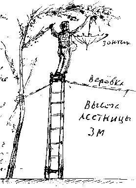 Дневник научного работника (СИ) - img_112.png