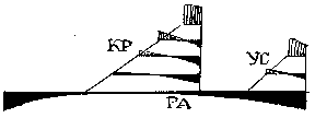 Дневник научного работника (СИ) - img_53.png