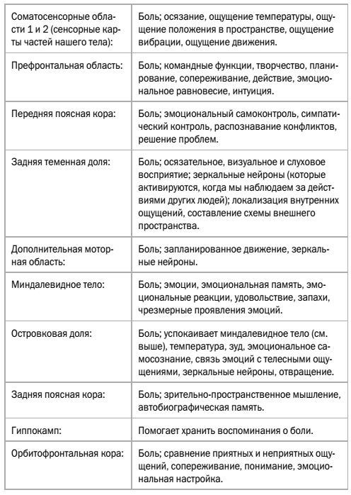 Мозг, исцеляющий себя. Реальные истории людей, которые победили болезни, преобразили свой мозг и обнаружили способности, о которых не подозревали - i_002.png