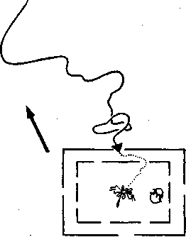 Социальное поведение животных - img_62.png