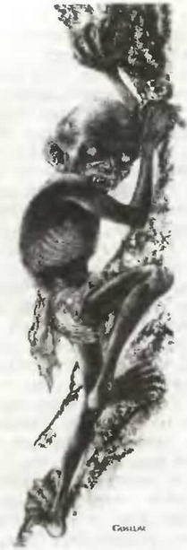 Знание-сила, 1997 № 02(836) - _148.jpg