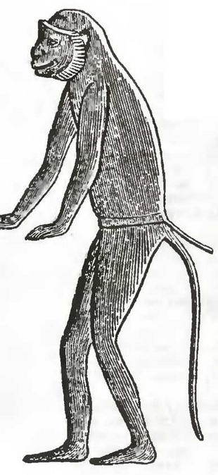 Знание-сила, 1997 № 02(836) - _29.jpg