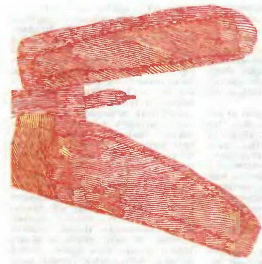 Знание-сила, 1997 № 02(836) - _126.jpg