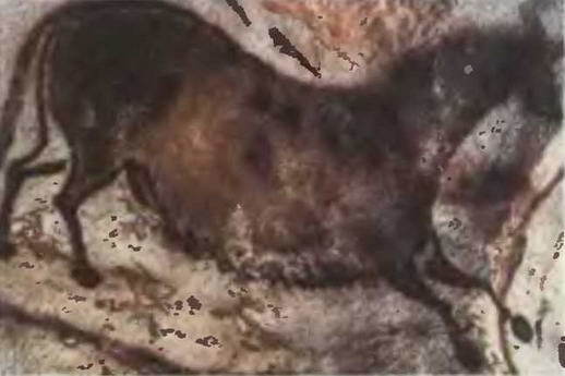 Знание-сила, 1997 № 02(836) - _28.jpg