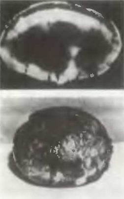 Знание-сила, 1997 № 04 (838) - _26.jpg