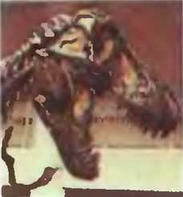 Знание-сила, 1997 № 03 (837) - _39.jpg