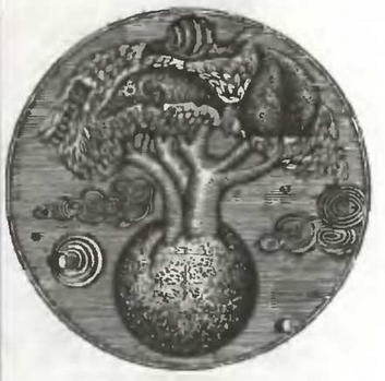 Знание-сила, 1997 № 03 (837) - _42.jpg