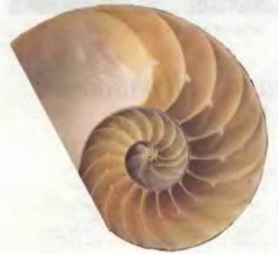 Знание-сила, 1997 № 03 (837) - _46.jpg