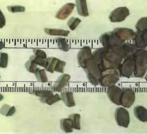 Знание-сила, 1997 № 03 (837) - _18.jpg