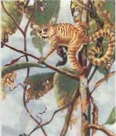 Знание-сила, 1997 № 03 (837) - _38.jpg