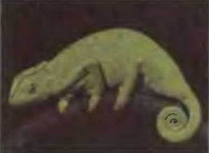 Знание-сила, 1997 № 03 (837) - _44.jpg