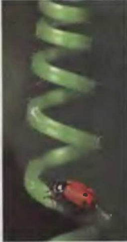 Знание-сила, 1997 № 03 (837) - _45.jpg