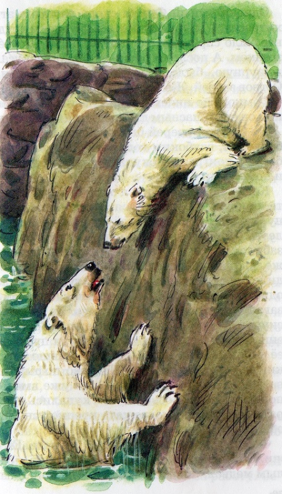 Рассказы - img20170913_12361745.jpg