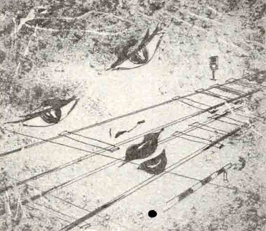 Повести. Пьесы (СИ) - _1.jpg