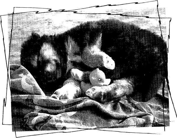 То АТО. Дневник добровольца - image43.jpg