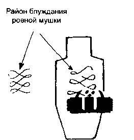 Тактическая стрельба - _36.jpg