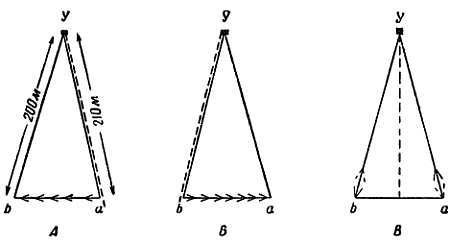 От пчелы до гориллы - _06.jpg