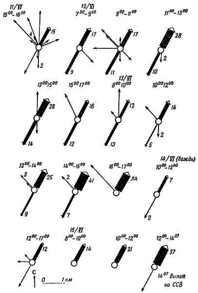 От пчелы до гориллы - _09.jpg_0