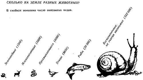 Четырехкрылые корсары - _08.jpg