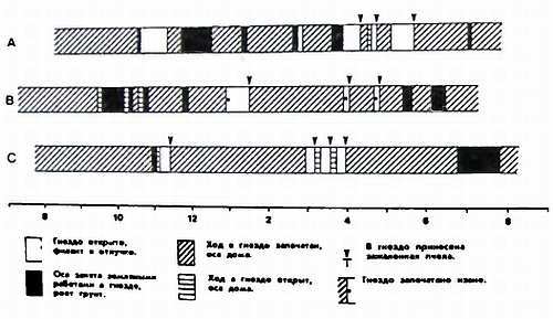 Четырехкрылые корсары - _135.jpg